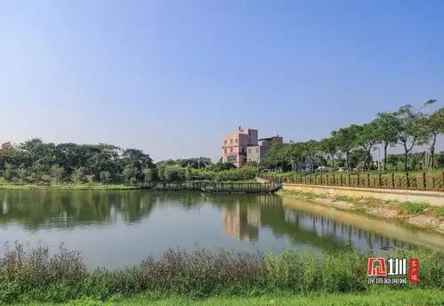 发现光明治水美景 |公明水库坝下景观湖:青山绿水闻鸟鸣 湖光倒影两