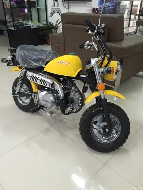 金城小猴子提车上牌成功,寻浙江绍兴地区猴友