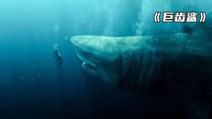 非常适合周末看的一部科幻惊悚电影巨齿鲨!