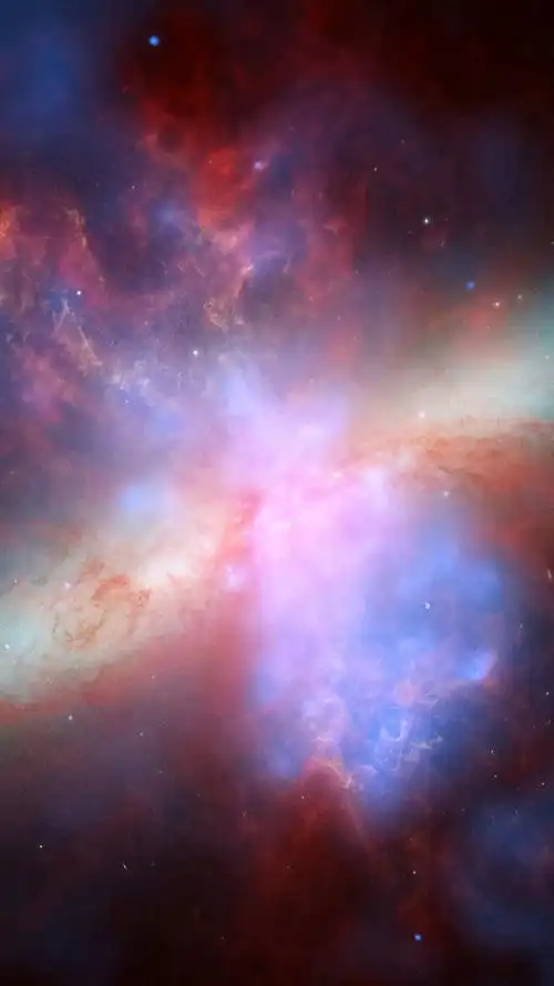 658_1170竖版 竖屏