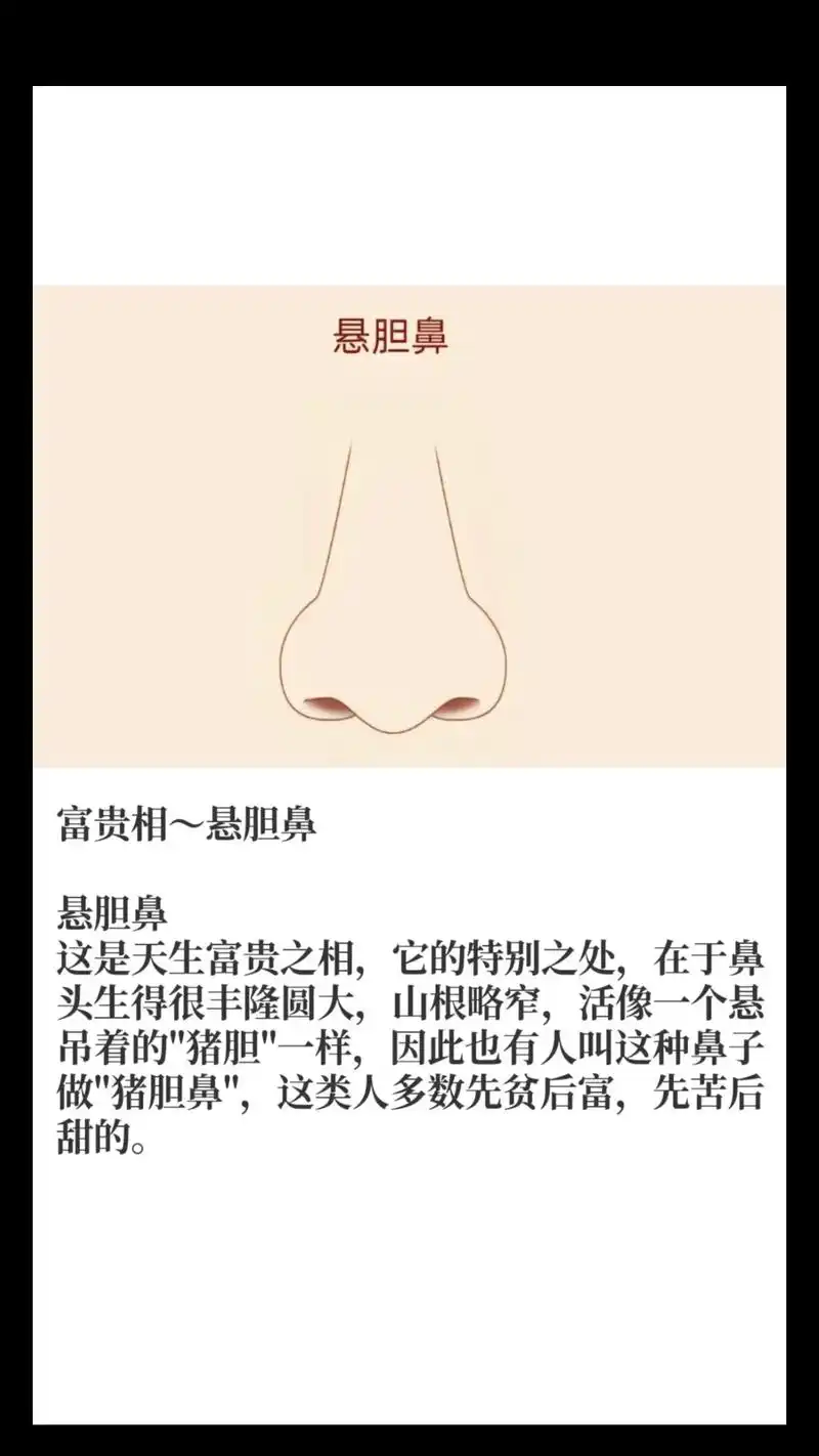 悬胆鼻～富贵相