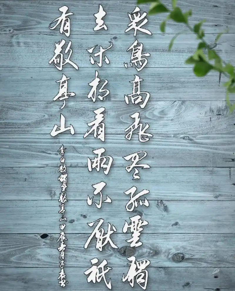 聆听大自然 #空气清新环境优美 #风景如画的地方 #人与自 - 抖音