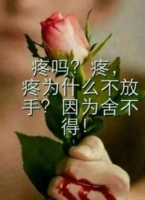 疼吗疼疼不放手因为舍不得