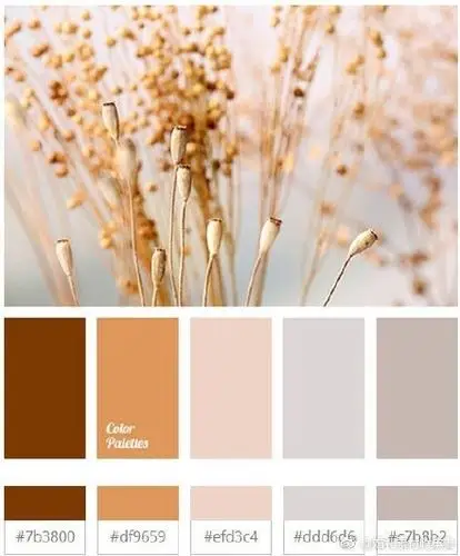 自然系配色方案丨夏天就适合这种柔和的配色