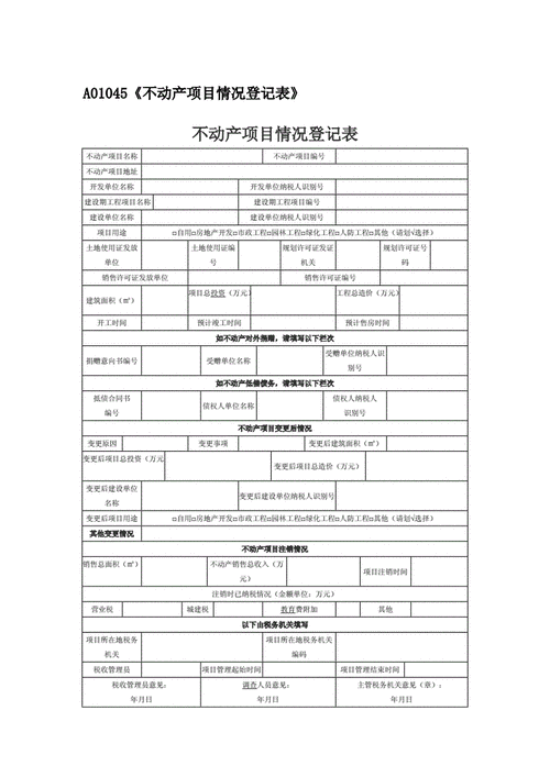 a01045不动产项目情况登记表.doc