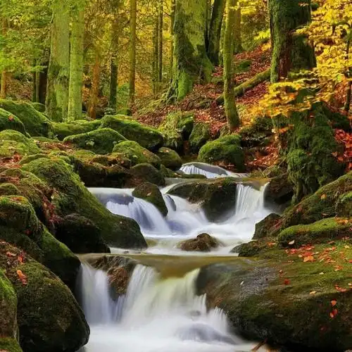 简单的头像干净大方 高清好看简单的微信头像干净简约图片_微信头像