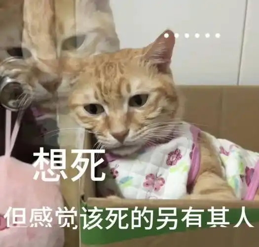 微信实用表情包:亲一下嘛_公众_il_熊猫头