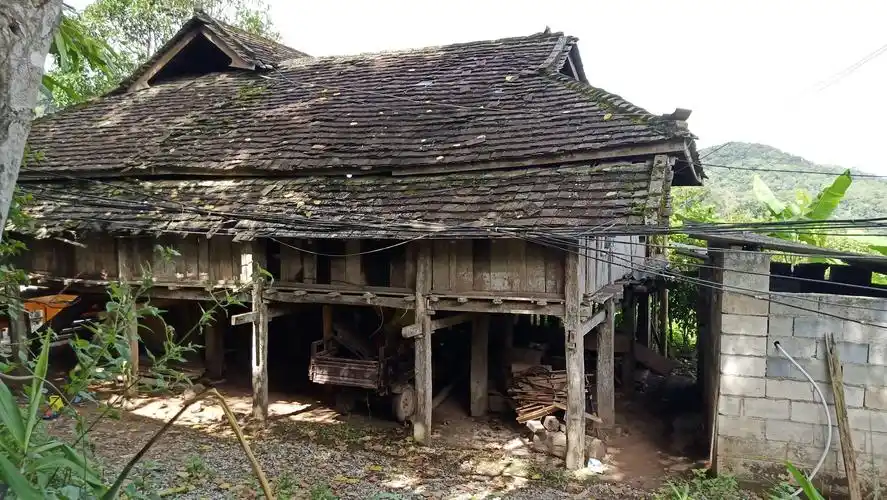 西双版纳之行(上)