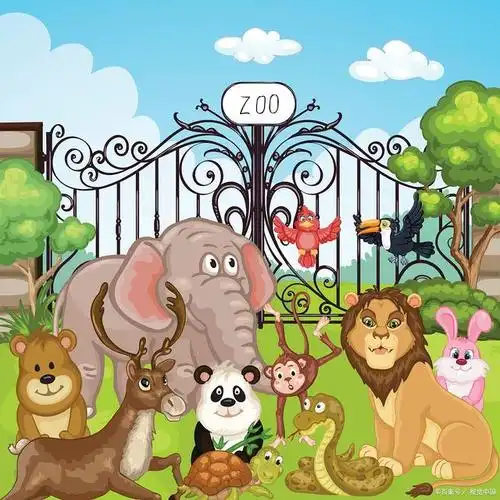 慢生活可以带你进入动物王国和植物王国感受到大自然的神奇和美丽