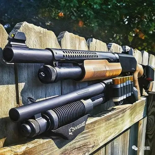 喷子的艺术各型霰弹枪海量图集
