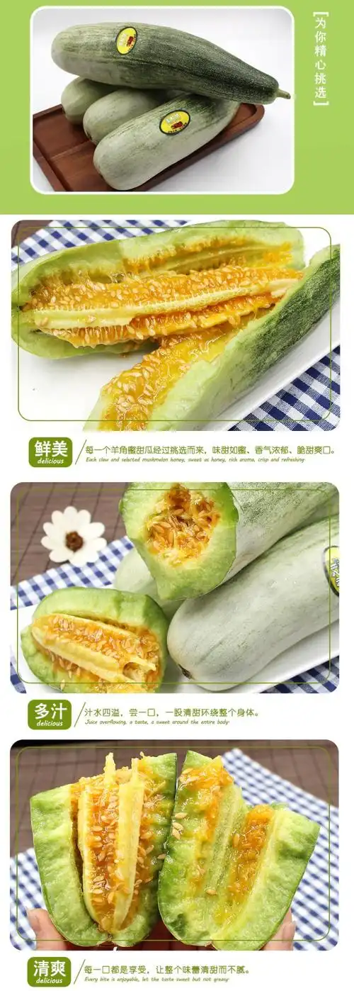 山东羊角蜜甜瓜新鲜现摘牛角脆水果蜜瓜当季玻璃翠香瓜 5斤 甜瓜