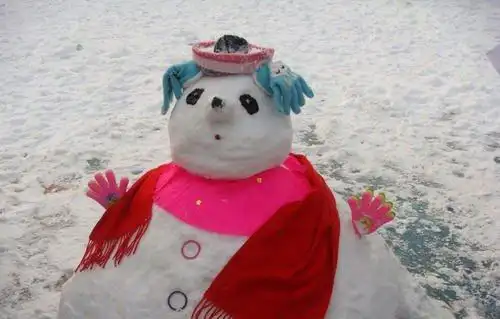 肢体雪人的悬疑案件 真人真头堆做的雪人(胆小勿入)