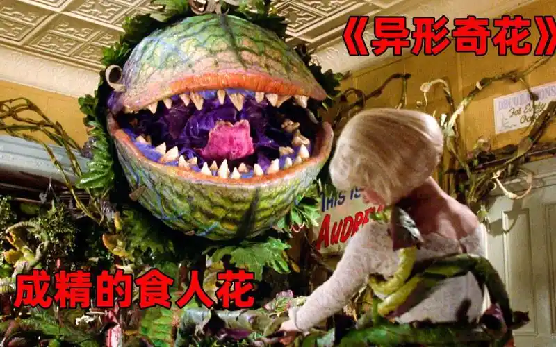 异形奇花这只食人花成精了居然吃人