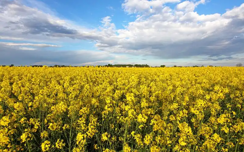 小清新大自然风景高清图片桌面壁纸