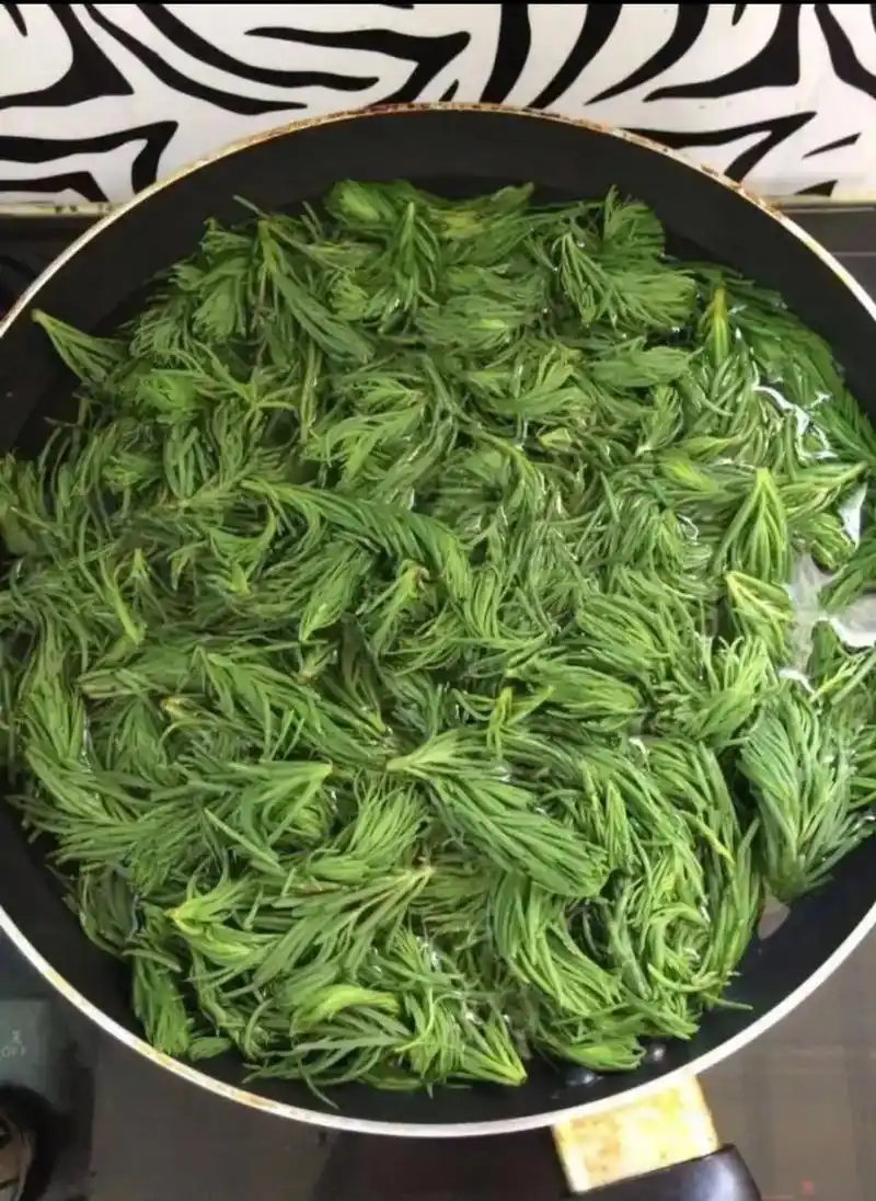 美食#大自然的馈赠#野菜蓬子菜~分享一种海边的野菜小蓬子菜 - 抖音