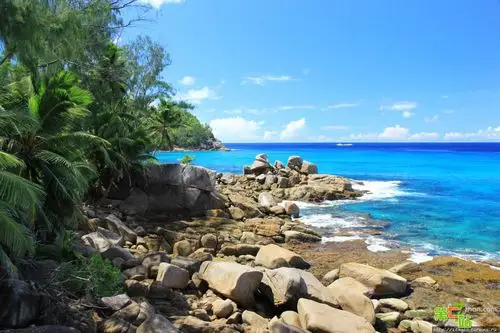 旅游天堂塞舌尔马埃岛迷人的海滩风情