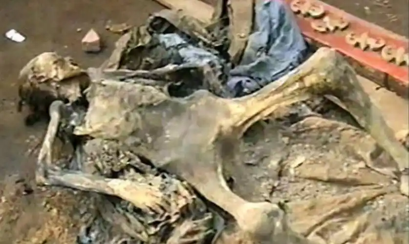 百年不腐女死状凄惨,满是抓痕的棺壁内,直接揭秘"活埋"惨案_女尸_棺材