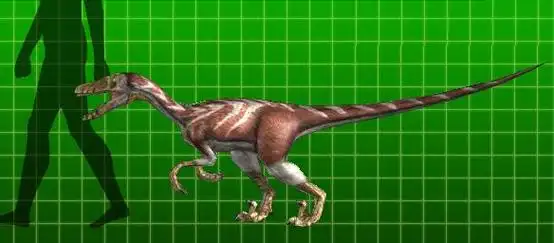 p>伶盗龙,又译迅猛龙,速龙,在 a target="_blank" href="/item/拉丁