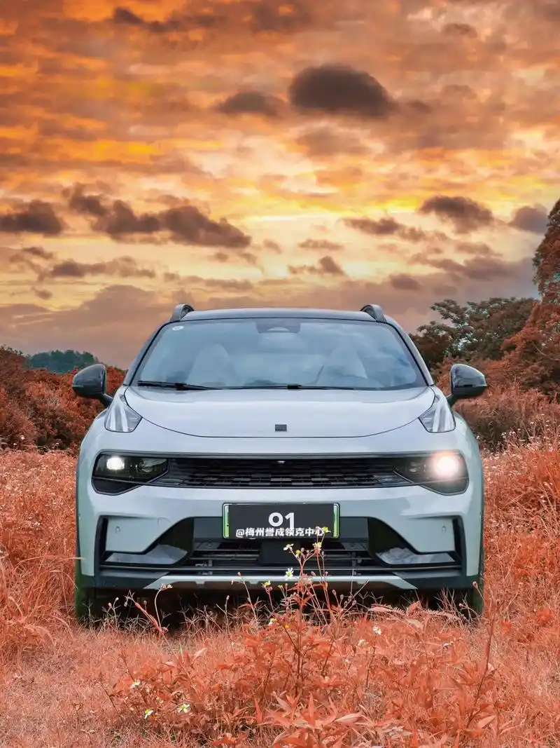 欣赏一下国产车吧.送给领克01的车主们当壁纸#领克汽车 #领 - 抖音