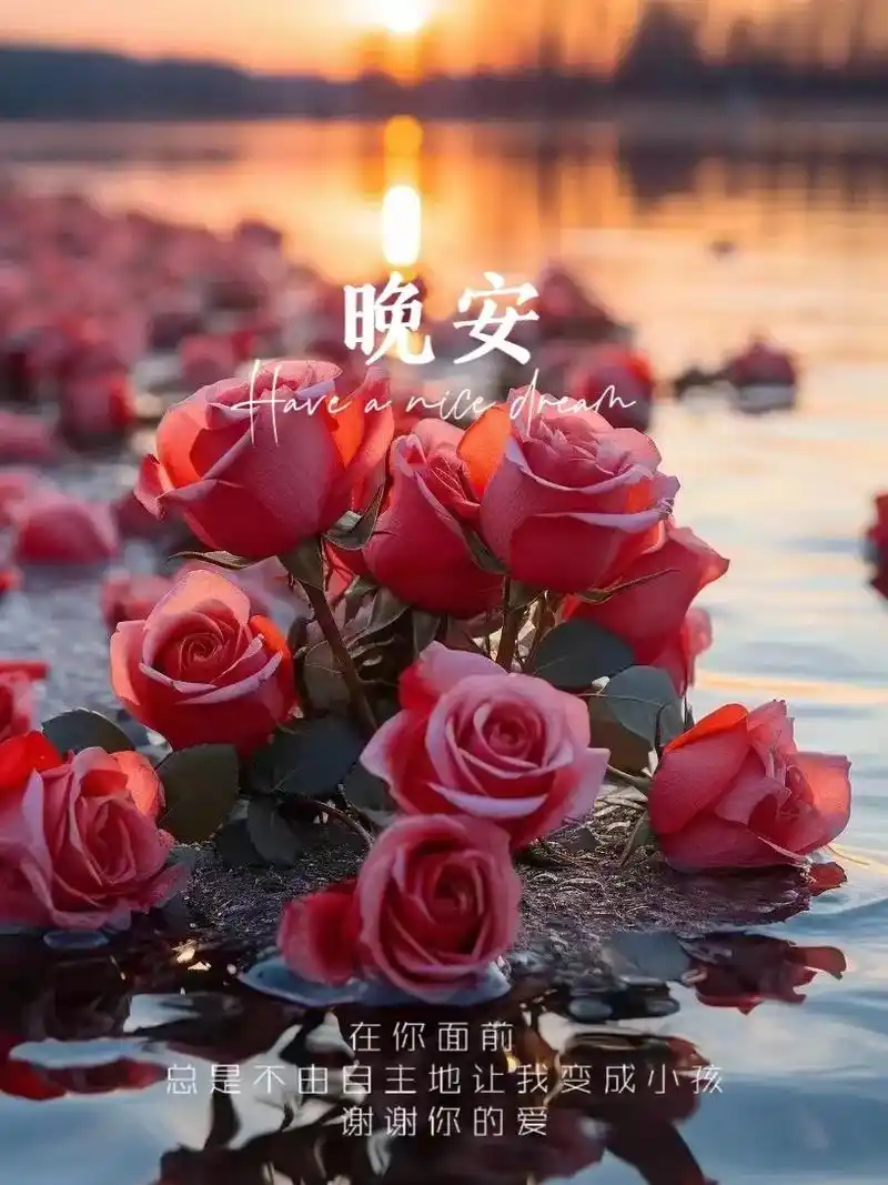 晚安文案|朋友圈浪漫晚安爱意满满的壁纸.1.在你面前,总是不 - 抖音