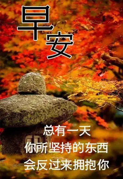 9张清新漂亮冬日清晨早上好图片带字带祝福语2022免打字朋友圈早安