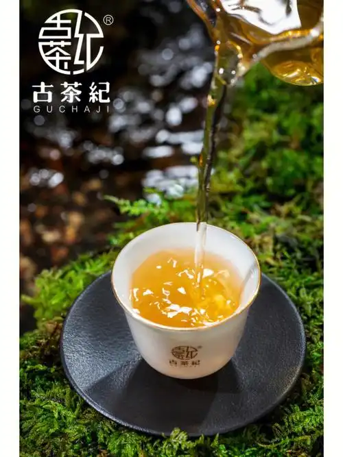 普洱茶藤条古树