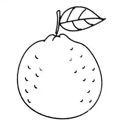简笔画怎么画橘子简笔画怎么画橘子的简笔画怎么画橘子简笔画图片教程