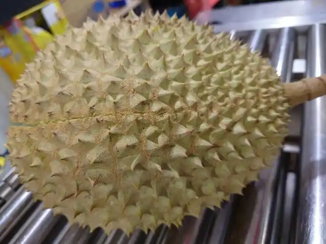 猫山王榴莲口感如何