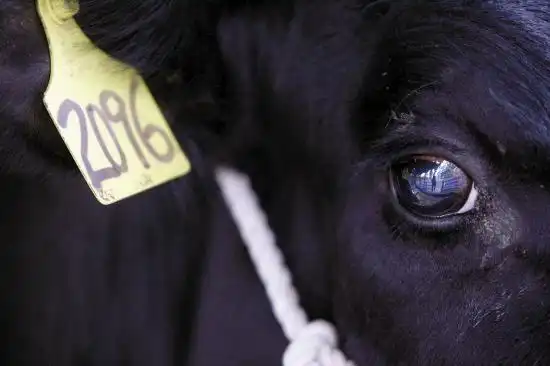 牛眼看人一色牛人_新闻中心_新浪网