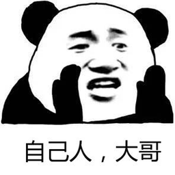自己人大哥熊猫头搞怪逗gif动图_动态图_表情包下载_soogif