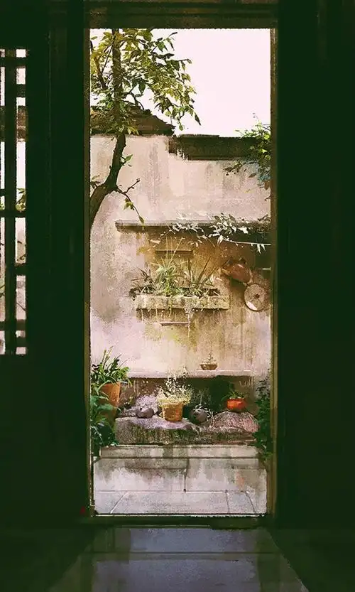 古风素材 〕作者 伊吹五月