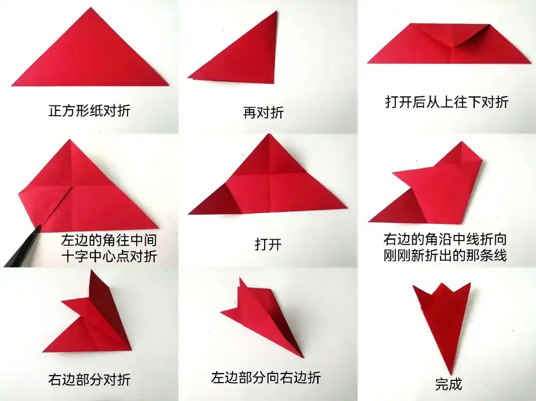 五折剪纸折法.#手工剪纸 #剪纸 #纸艺 #折纸 #窗花剪纸 - 抖音