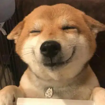 狗子头像 "我憨吗""很憨""_微信头像_我要个性网