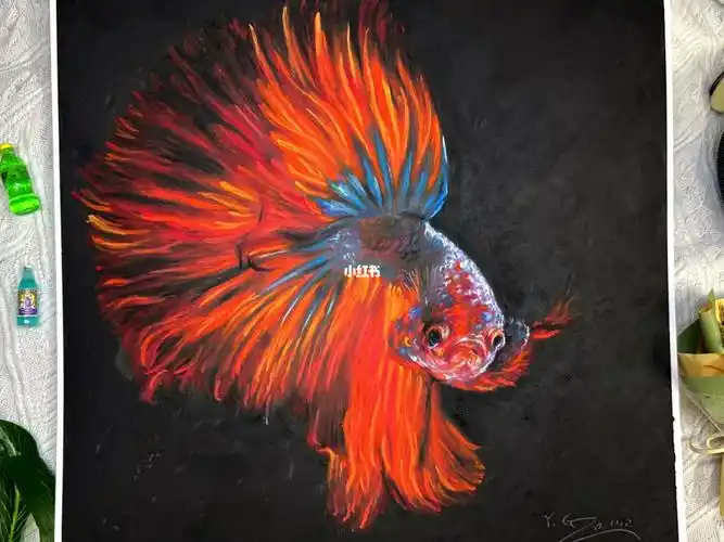 油画棒斗鱼视频教程