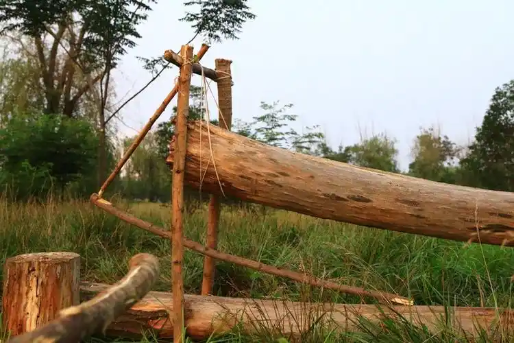 野外生存之:"捕猎陷阱"实战篇(2018年8月)