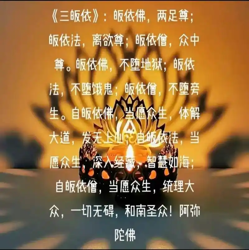 《三皈依》皈依佛,两足尊.皈依法,离欲尊.皈依僧,众中尊.皈 - 抖音