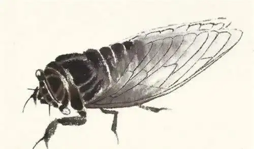 齐白石一只"蝉"凭什么拍出8个亿?_中国书画家影像网