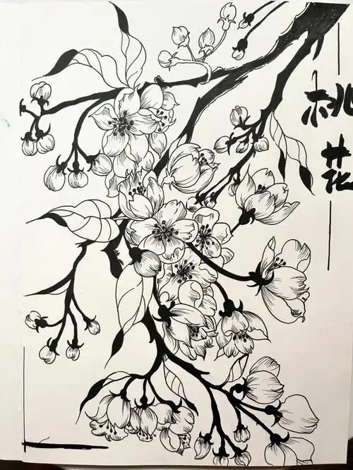 桃花朵朵开线描89岁