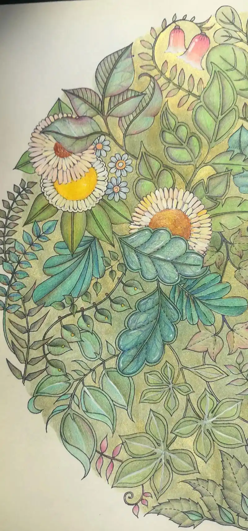 手绘 #画画 #魔法森林涂色 - 抖音