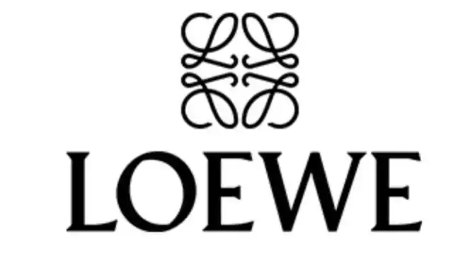 看到这个值钱的logo你们就知道了,西班牙百年皮具奢华品牌,鼎鼎大名的