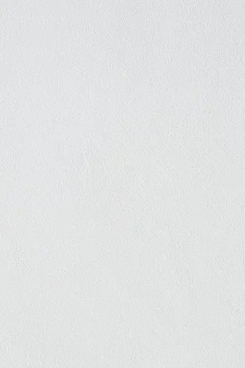 豪仔1234从一只眠绵羊转采于2021-11-21 15:24:48白色质感背景壁纸