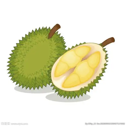 矢量卡通榴莲图片
