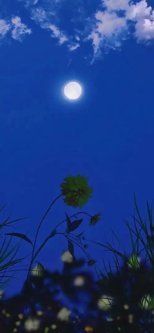 唯美夜色风景图片高清手机壁纸