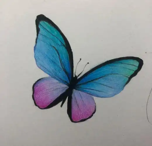 零基础彩铅,一只蝴蝶的画法