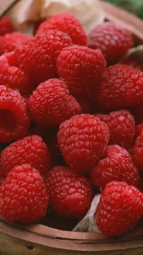 一篮红树莓 iphone 壁纸