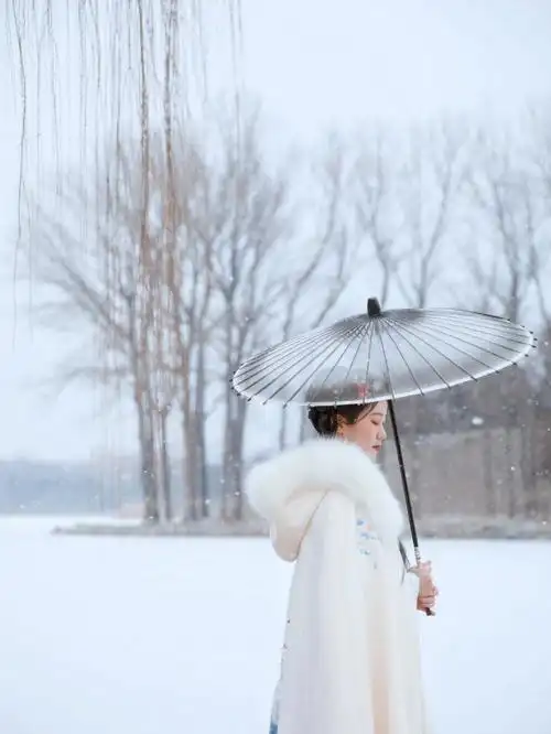 大雪纷飞下的圆明园,也是绝美呀摄影:@桃_桃暮斯92#古风摄影  #北京