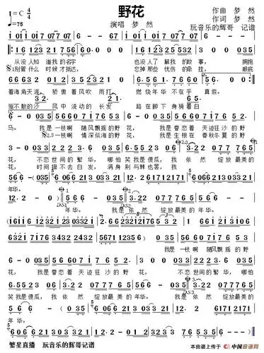 野花(演唱 梦 然)