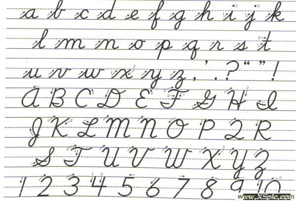 花体字,可以自己学啊