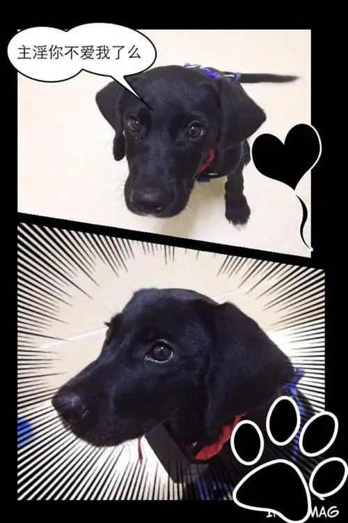 只要你一个眼神肯定,我的爱就有意义.