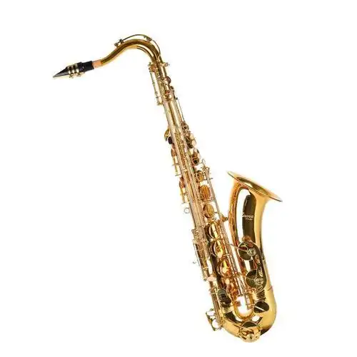 萨克斯乐器 专业演奏_米娜娃 萨克斯 降b调 次中音萨克斯风管 乐器